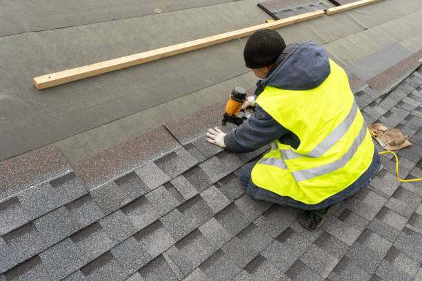 Best Gutter Installation and Roofing  in St Charles, IL