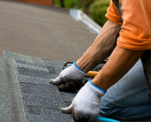 Best Metal Roofing Contractor  in St Charles, IL